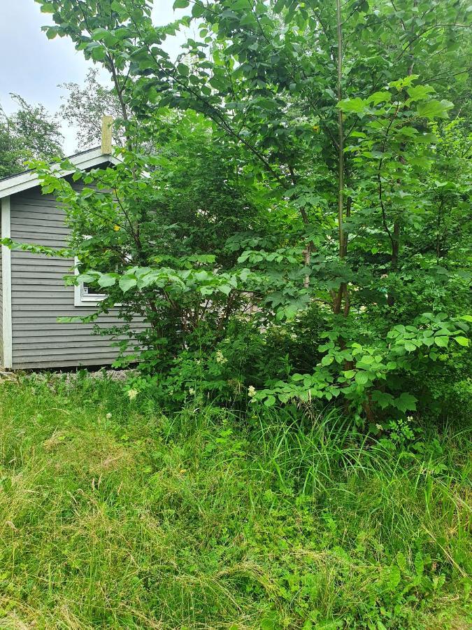 Skogsbaeckens Stugby Ab Villa Tomelilla Bagian luar foto