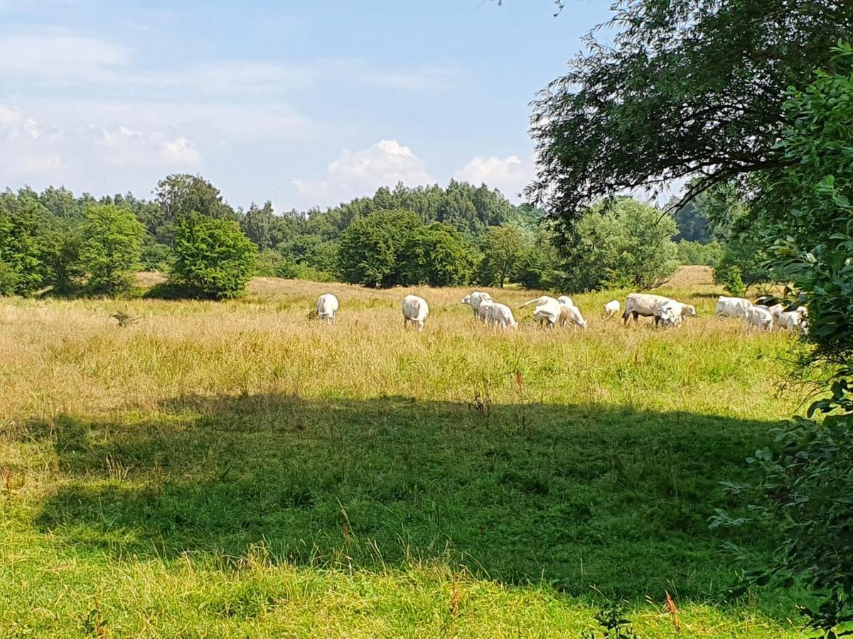 Skogsbaeckens Stugby Ab Villa Tomelilla Bagian luar foto